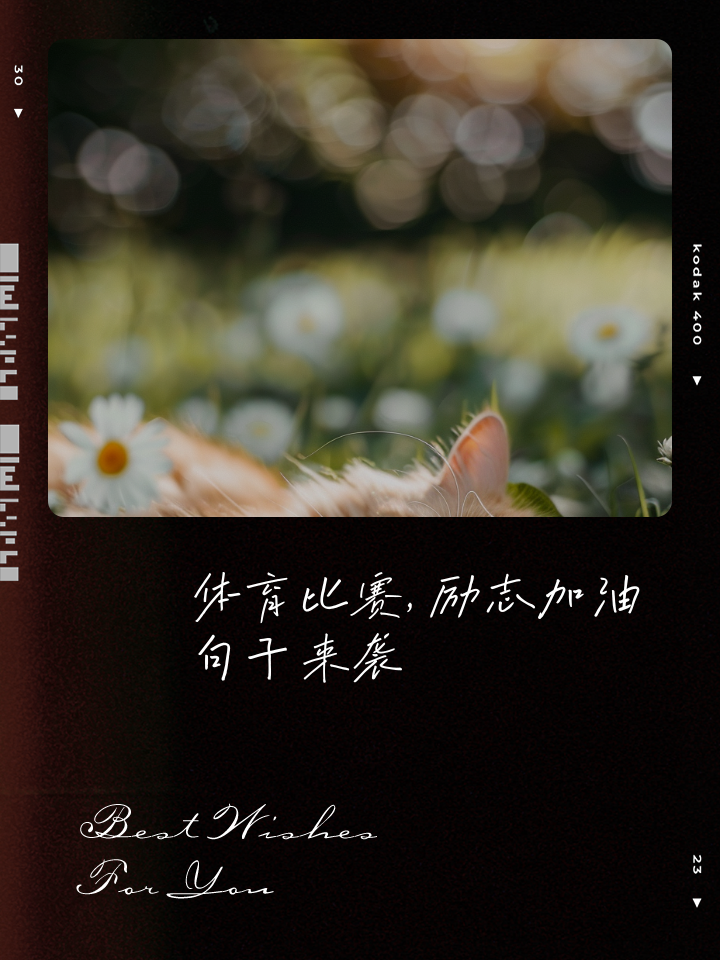 爱游戏体育-关于紧张对决下半场逆转，励志故事感人心弦的信息