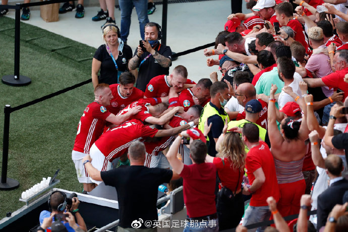 关于匈牙利逼平瑞典：力求胜利！的信息