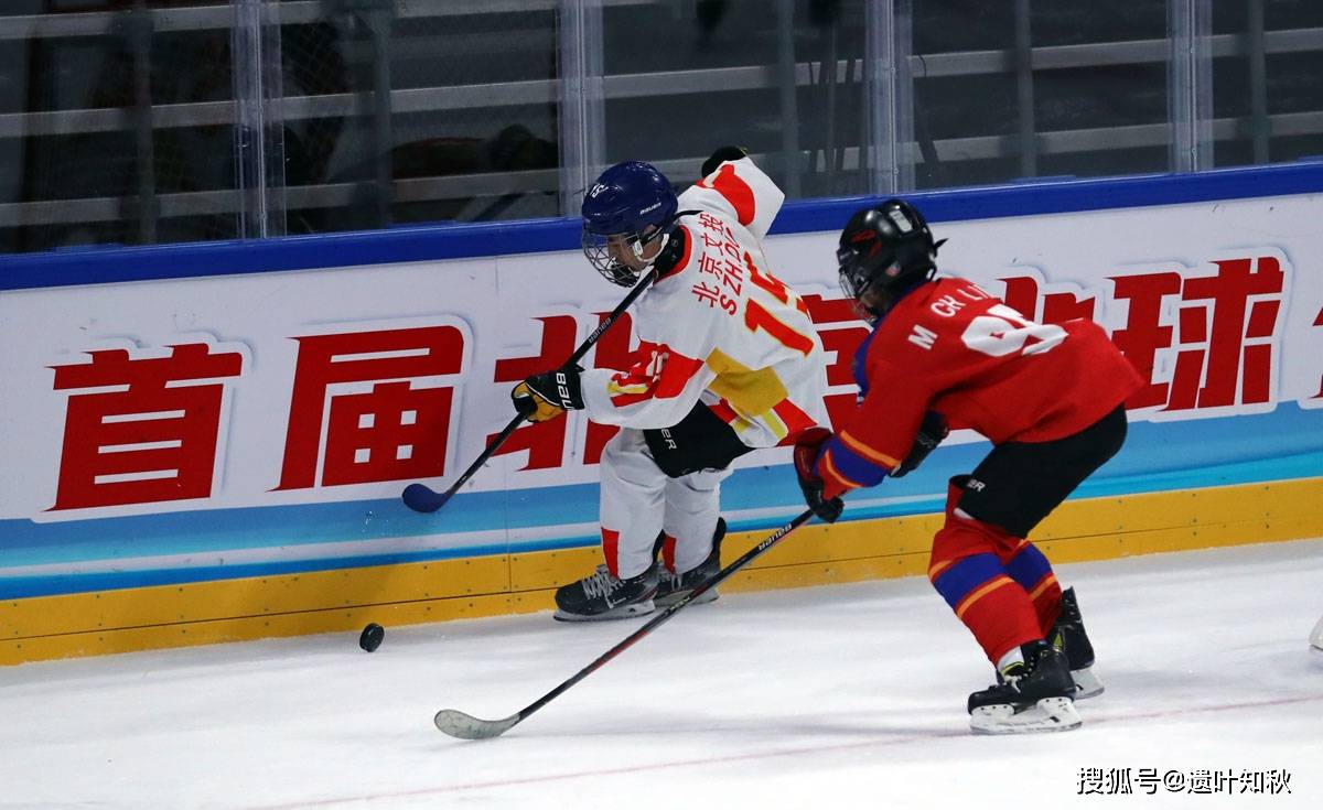 爱游戏下载-冰球赛季收官，冠军榜单揭晓的简单介绍