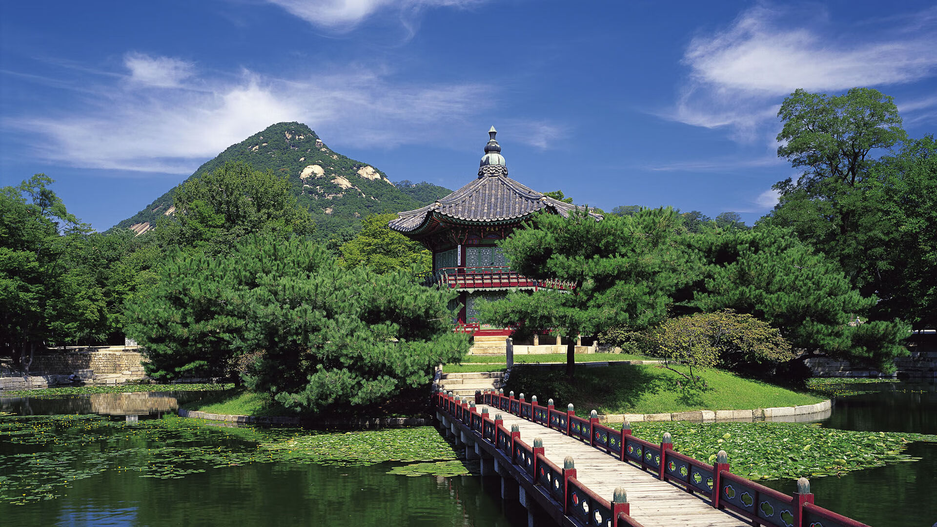 亚洲之光撕裂北欧极夜，韩国压哨绝杀，冰岛巨人轰然倒地