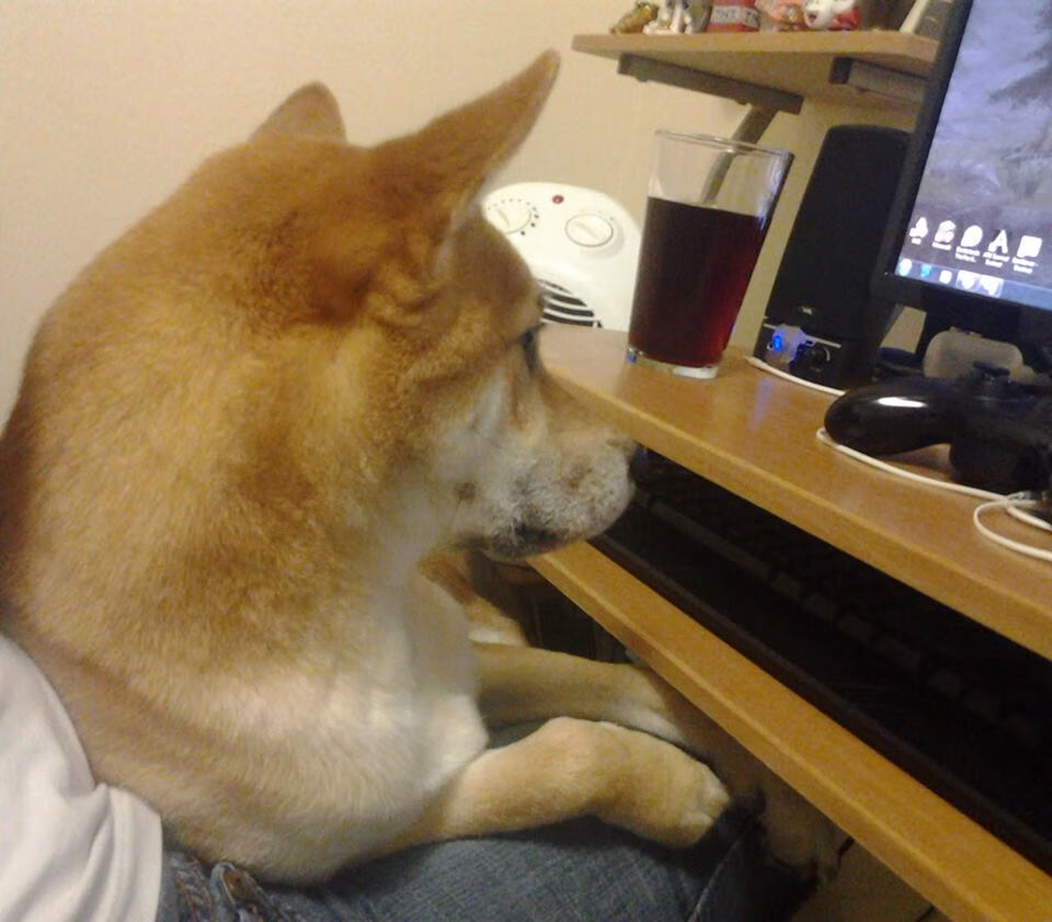 北境雪原的战术风暴，瑞典鏊战芬兰，哈弗茨压制级表现终结悬念