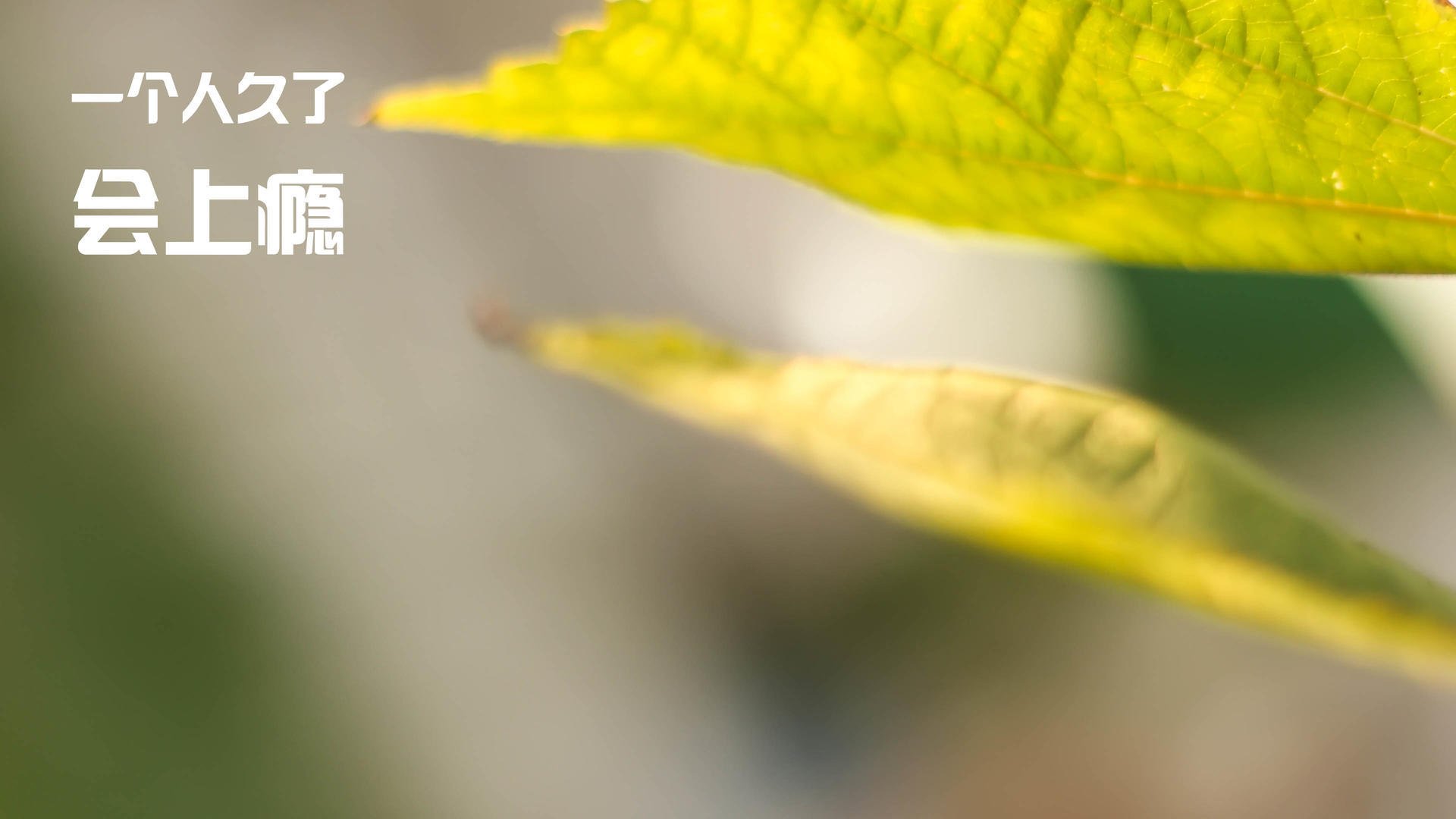 爱游戏tv-篮足跨界之战，喀麦隆式防守如何锁死阿森纳攻势？东决上演战术革命