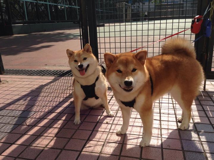 爱游戏APP-奇才铁锁横江封篮网，浓眉神兵天降定乾坤