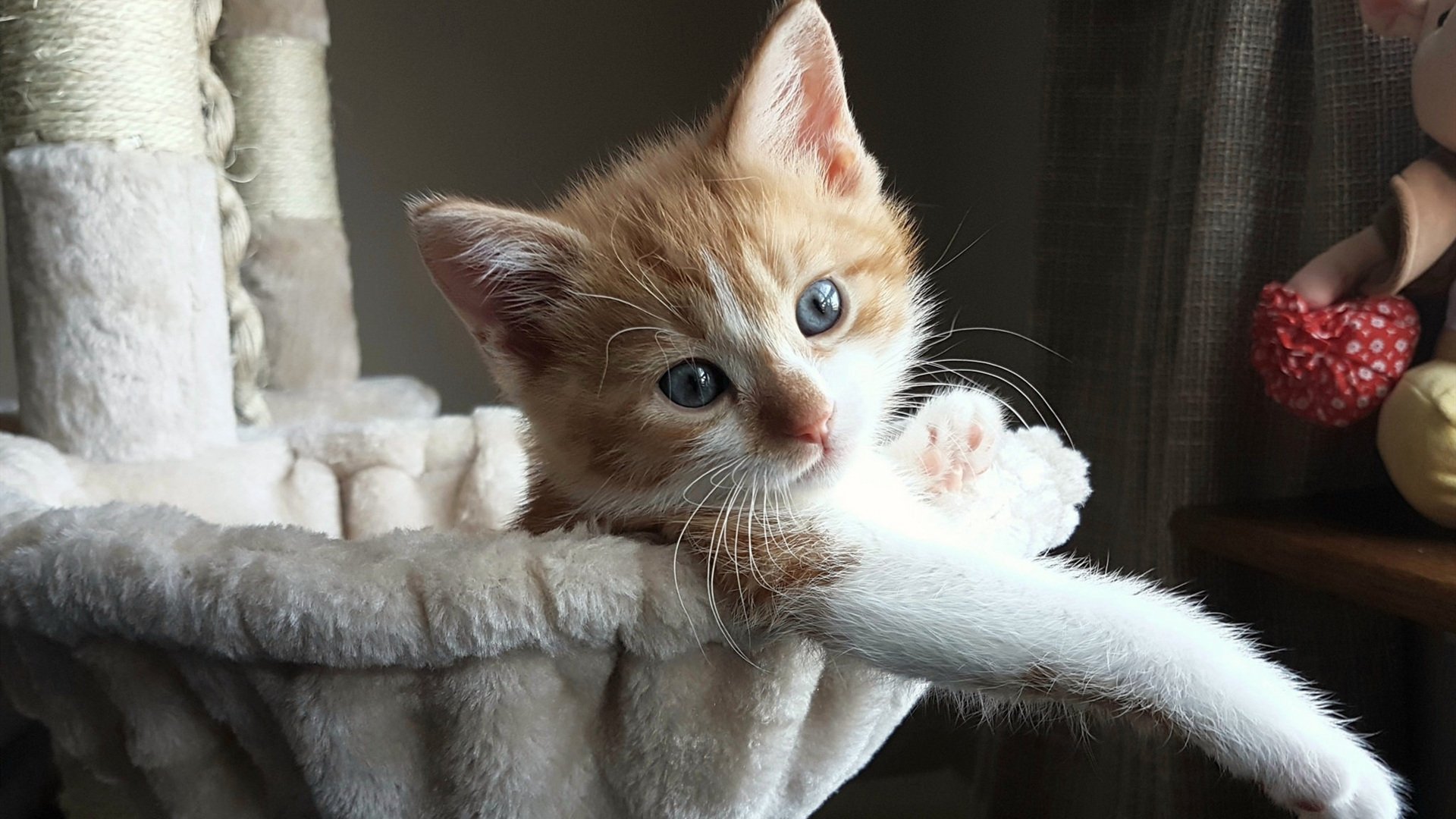 爱游戏-进攻节拍器与战术终结者，北京队火力全开，拉梅洛48分让灰熊防线沦为背景板